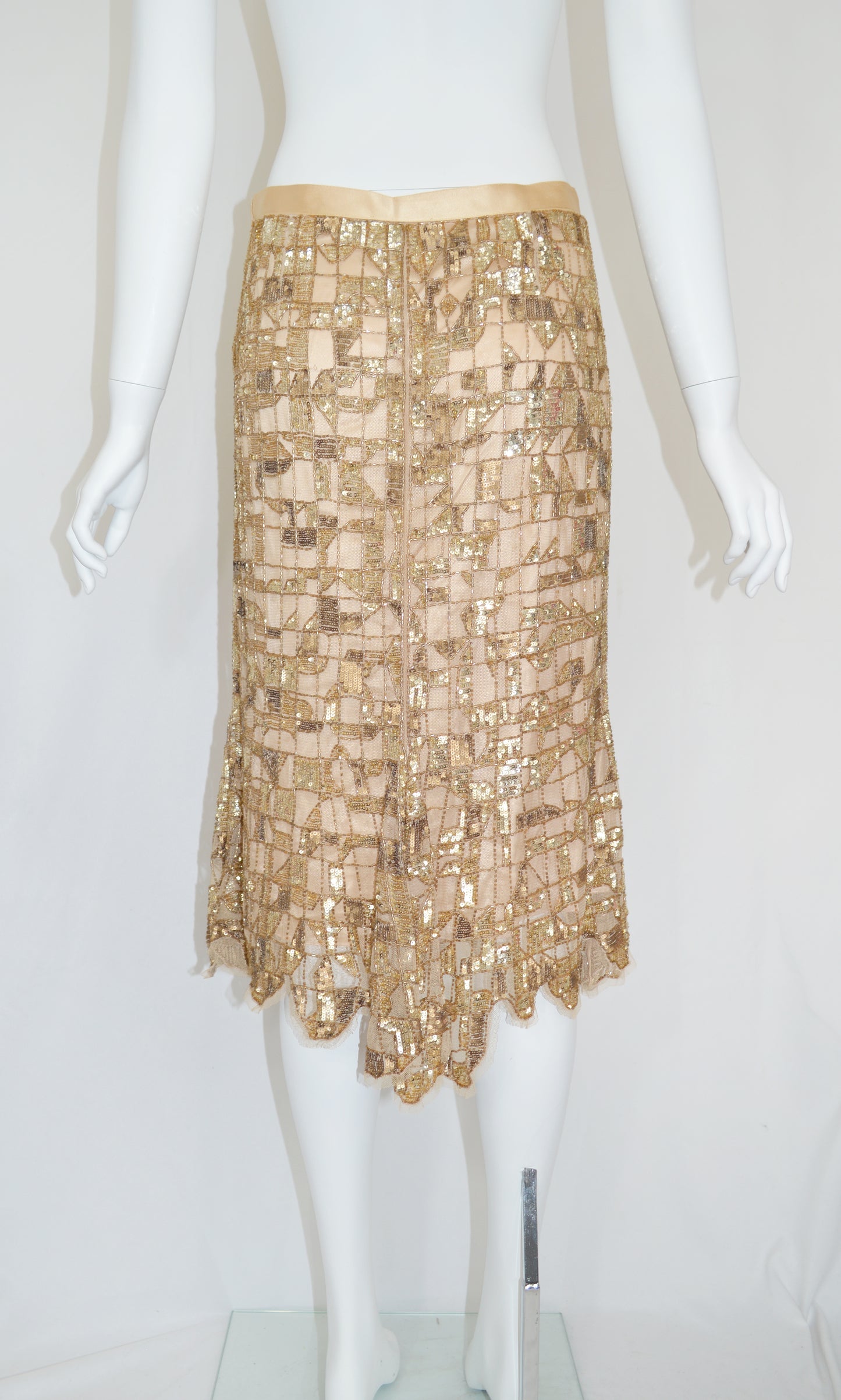 BLUMARINE Embellished Skirt
