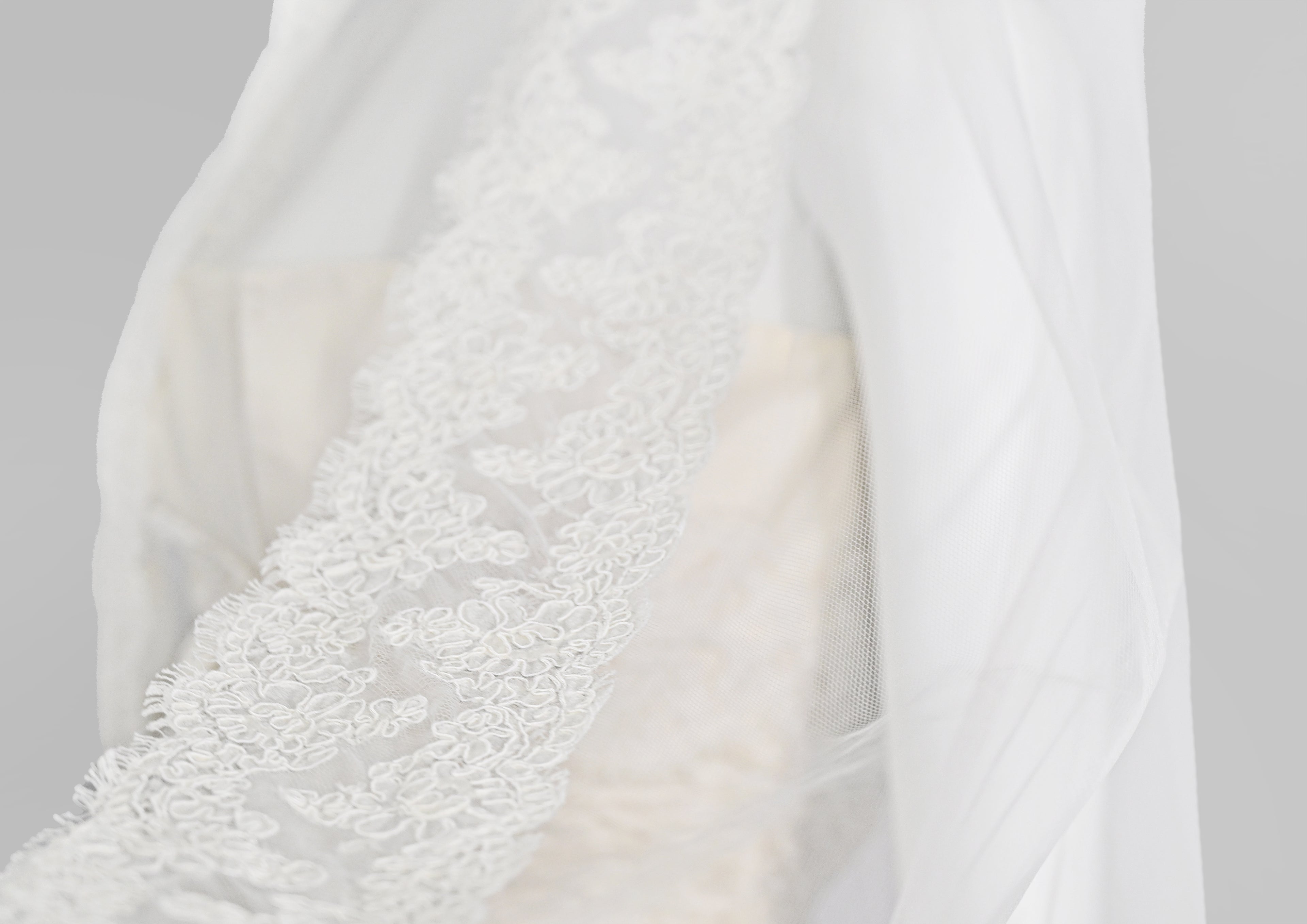 Valentino Sposa Silk Wedding Dress & Cathedral Lace Veil
