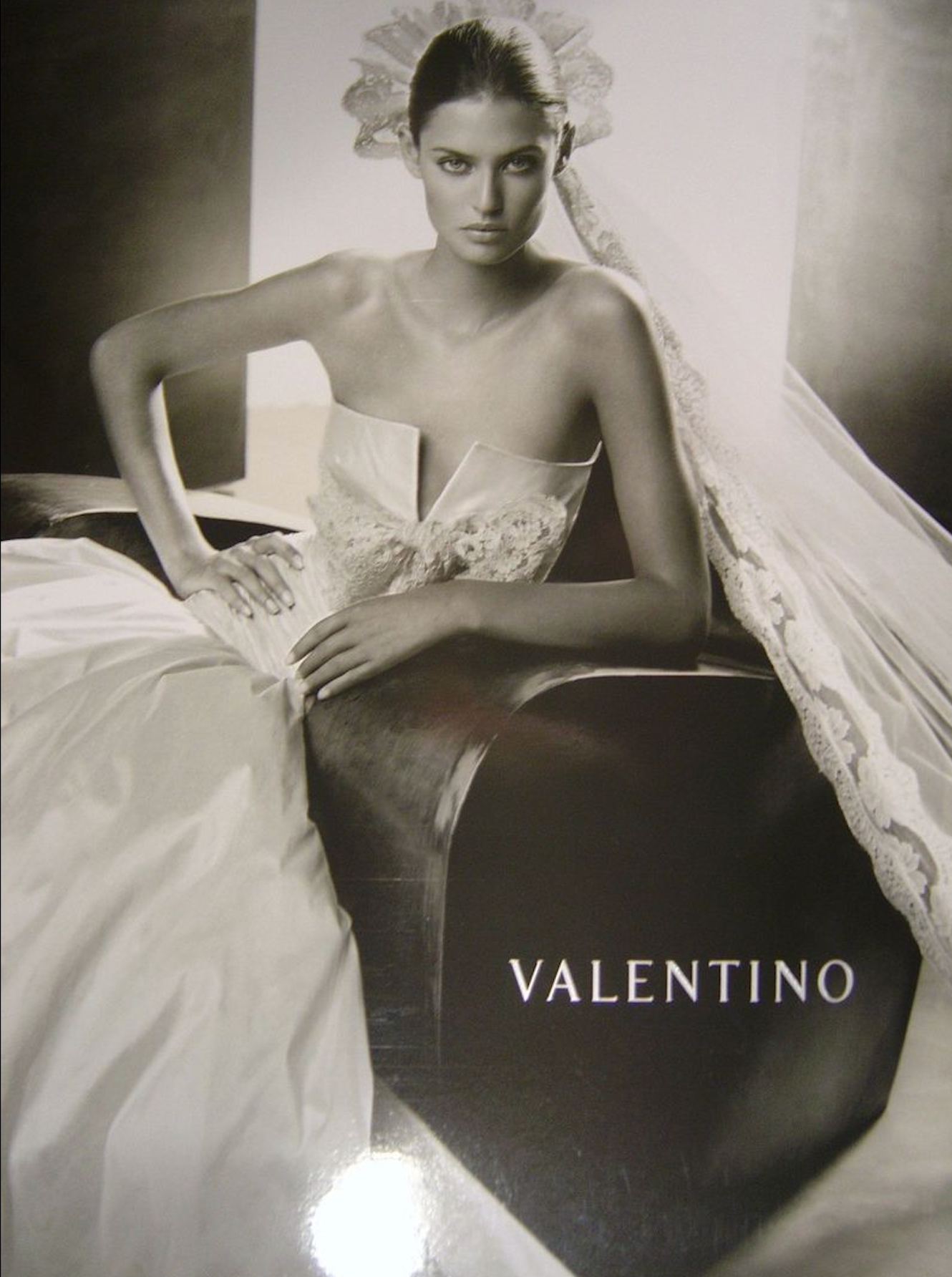 Valentino Sposa Silk Wedding Dress & Cathedral Lace Veil